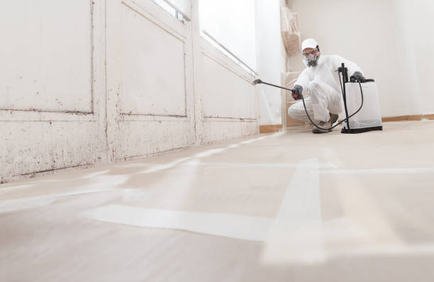 24/7 Emergency Bathroom Mold Removal experts in Plainview, TX