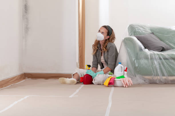 Reliable Bathroom Mold Removal contractor in Plainview, TX by Mold Remediation HQ